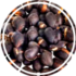 mucuna